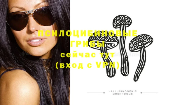герыч Верхний Тагил