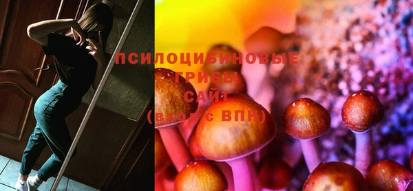 герыч Верхний Тагил