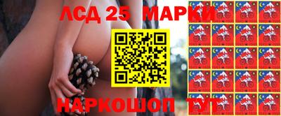 крисы Заволжье
