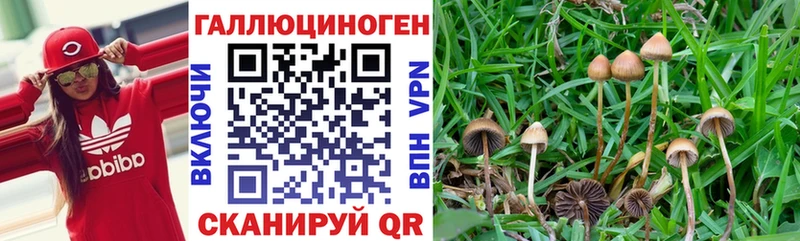 купить наркоту Иваново Галлюциногенные грибы ЛСД