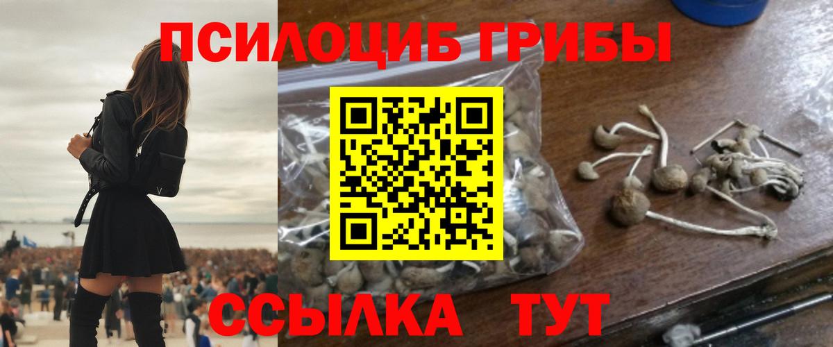 Галлюциногенные грибы Cubensis Иваново